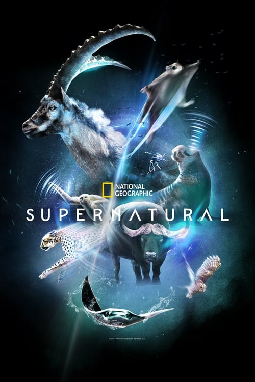 Super/Natural Temporada 1